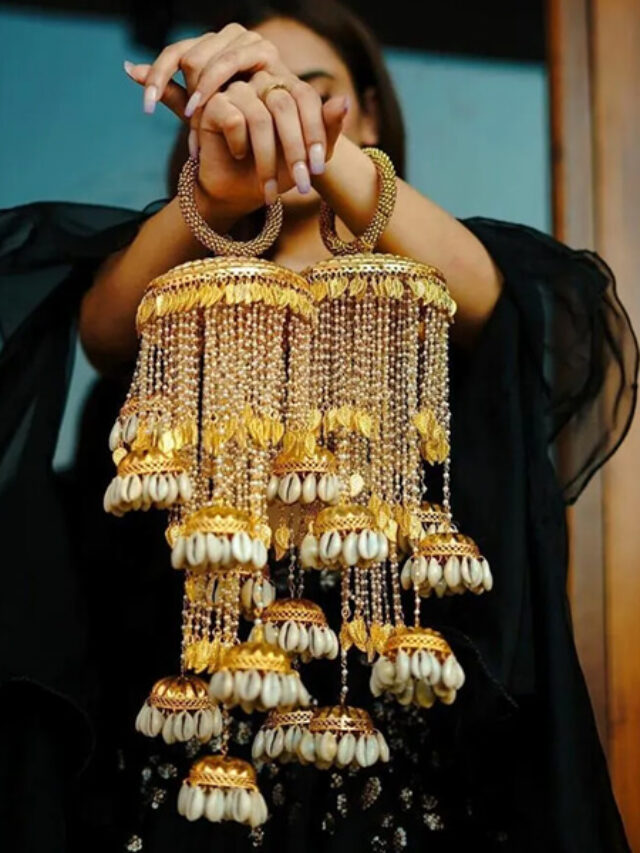cropped-शेल-कलीरे-Shell-Kalire-.jpg