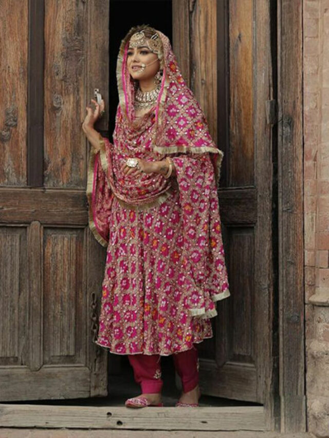 cropped-bridal-punjabi-suit-4.jpg