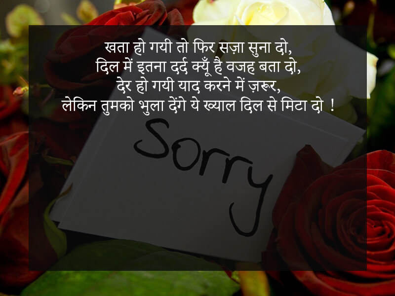 Sorry Shayari in Hindi सॉरी शायरी हिंदी में Mafi Shayari in Hindi2