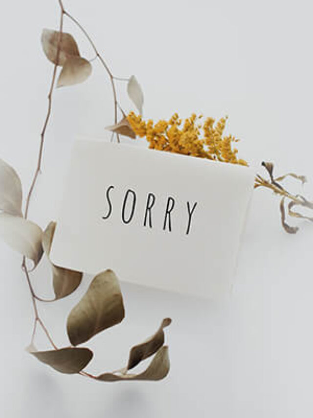 cropped-Sorry-Shayari-in-Hindi-सॉरी-शायरी-हिंदी-में-Mafi-Shayari-in-Hindi.jpg
